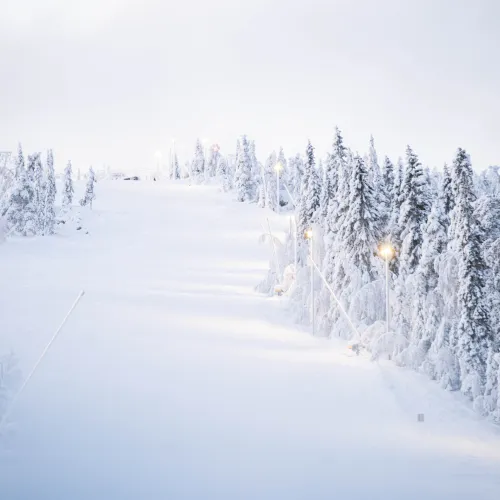 Iso-Syötteen lumiset rinteet jouluna