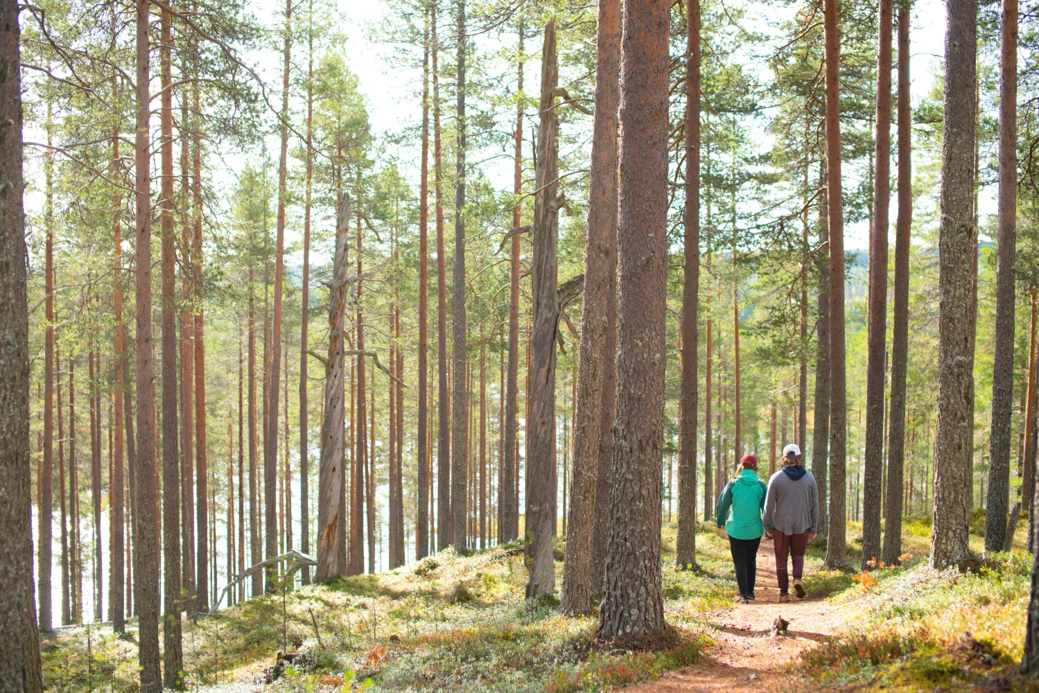 Pariskunta kesäretkellä Syötteen maisemissa