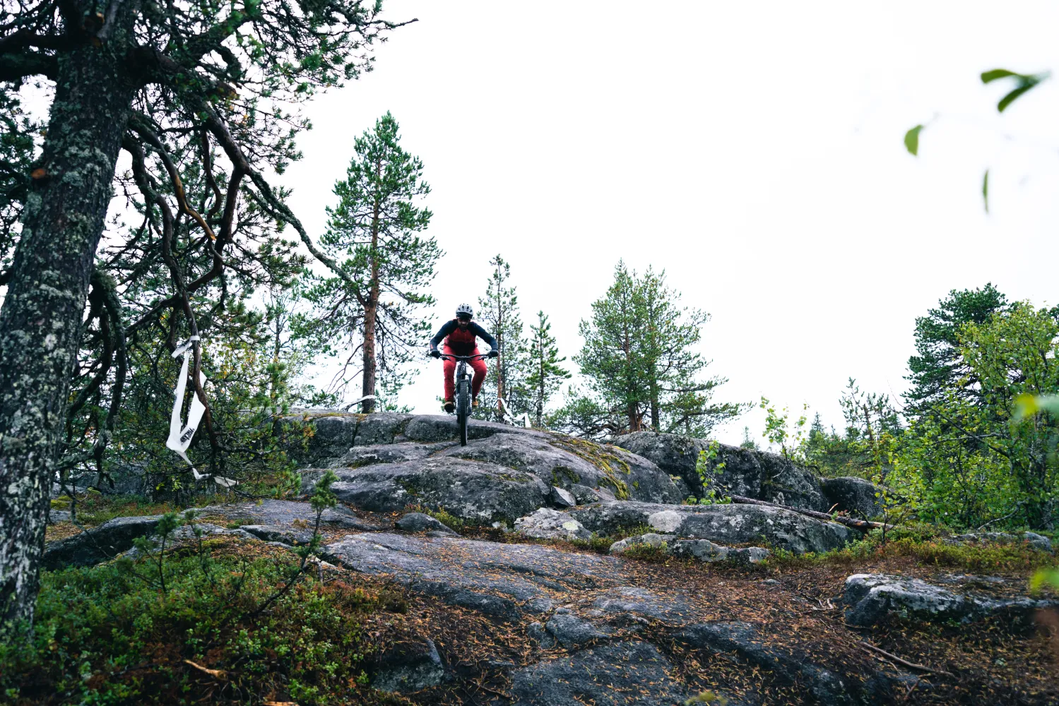 Bike Park Iso-Syöte 