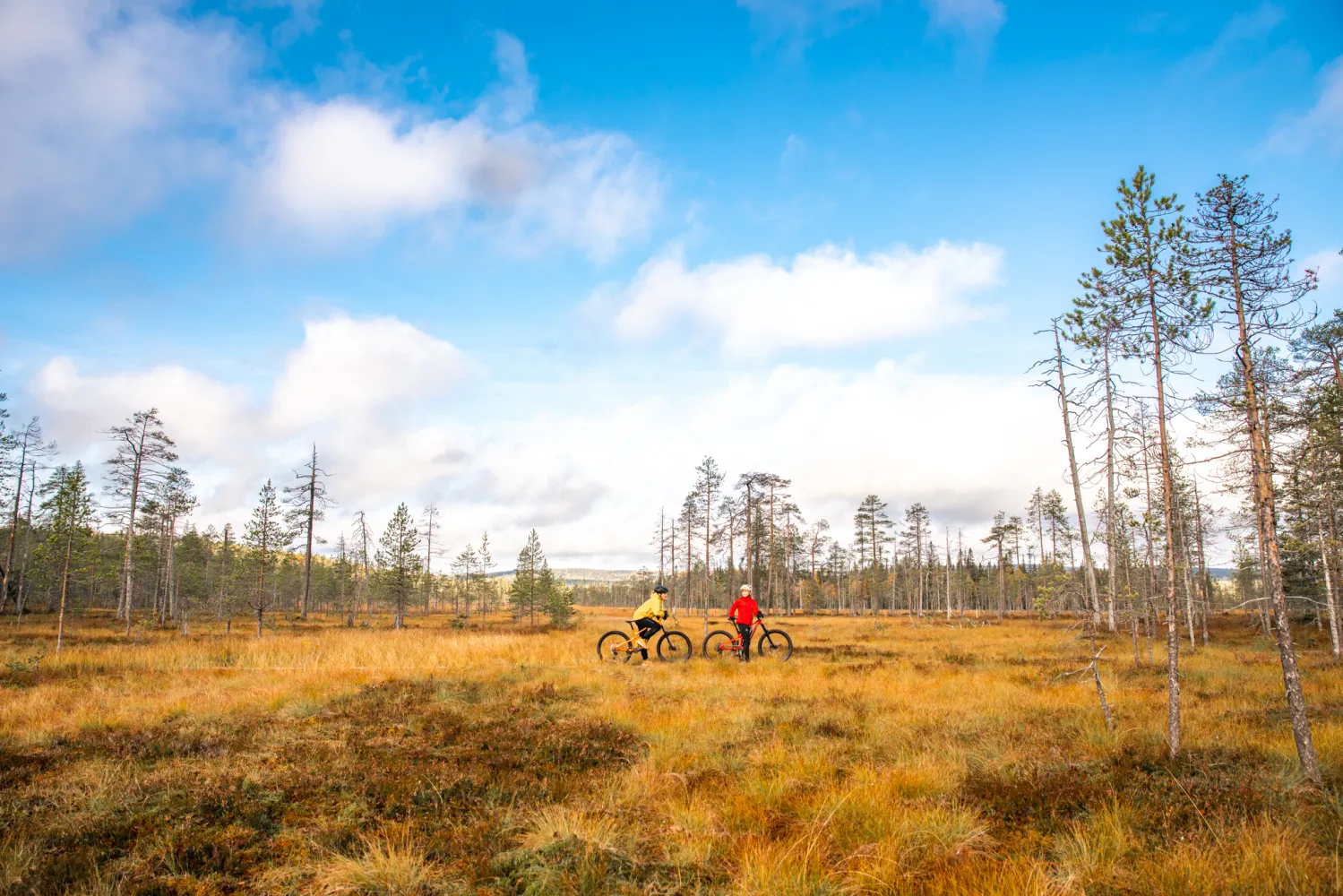 Kaksi pyöräilijää Iso-Syötteellä ruskaaikaan suolla