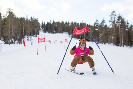 Mustin ja Lystin pujottelukisa