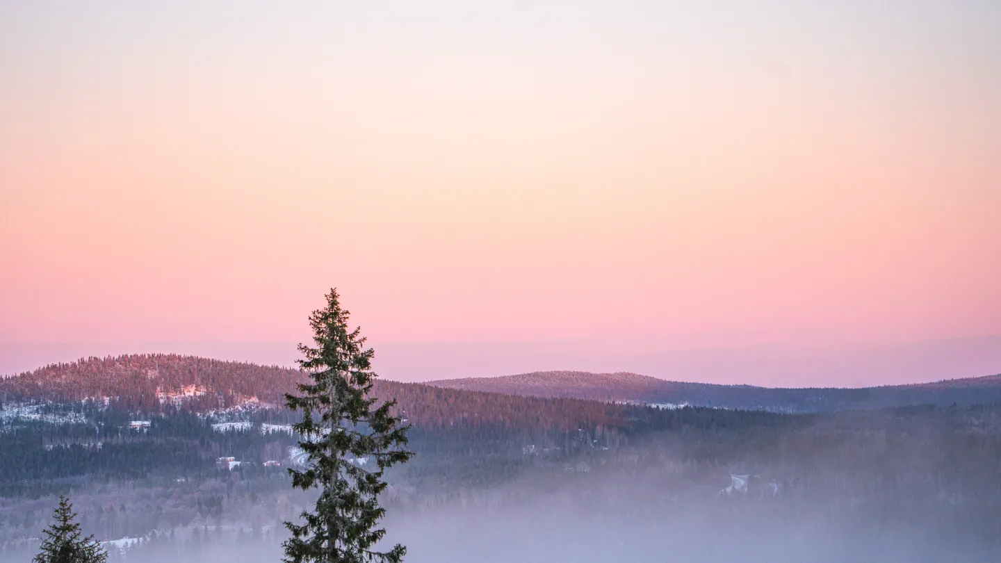 Marraskuinen maisema