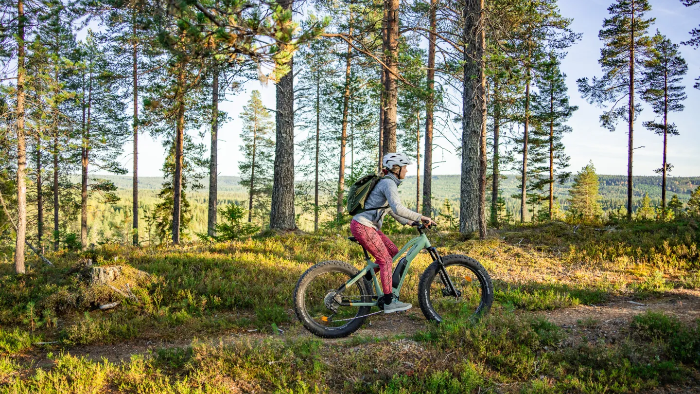 maastopyöräilemässä Iso-Syötteellä