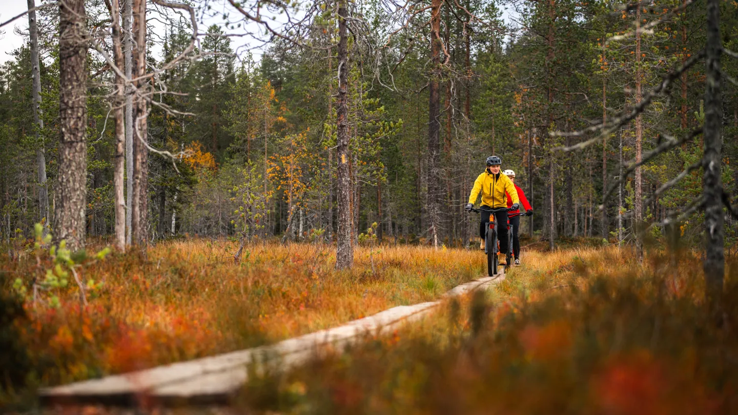 Maastopyöräilyä pitkospuilla Iso-Syötteen syksyssä