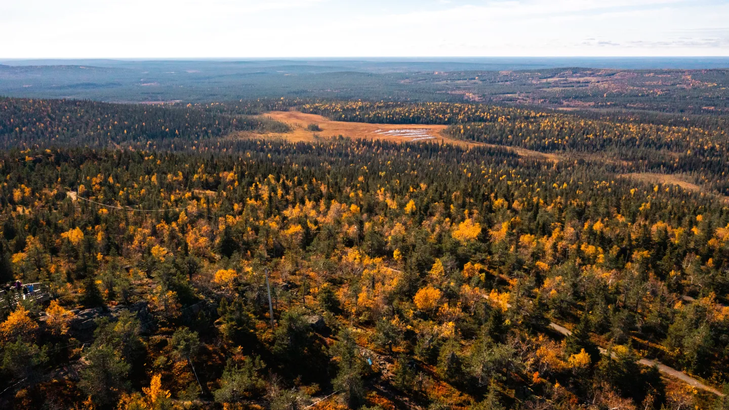 Ruskamaisemaa Iso-Syötteen syksystä