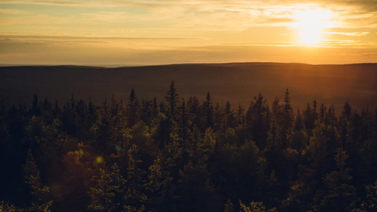 Auringonlasku Syötteellä