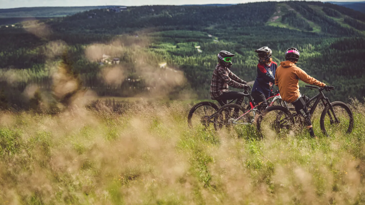 Kolmikko Bike Parkissa