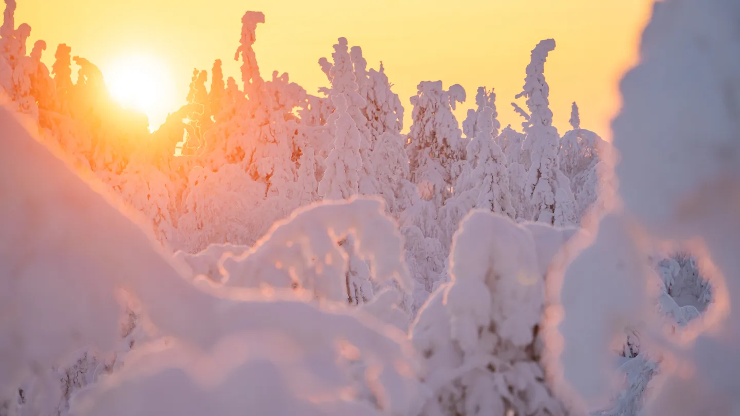 Talvinen aurinko ja tykky