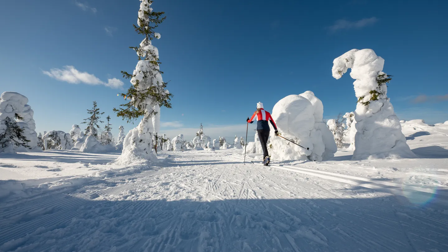 Syötteen alueelta löytyy monipuolisesti latuja murtomaahiihtoon