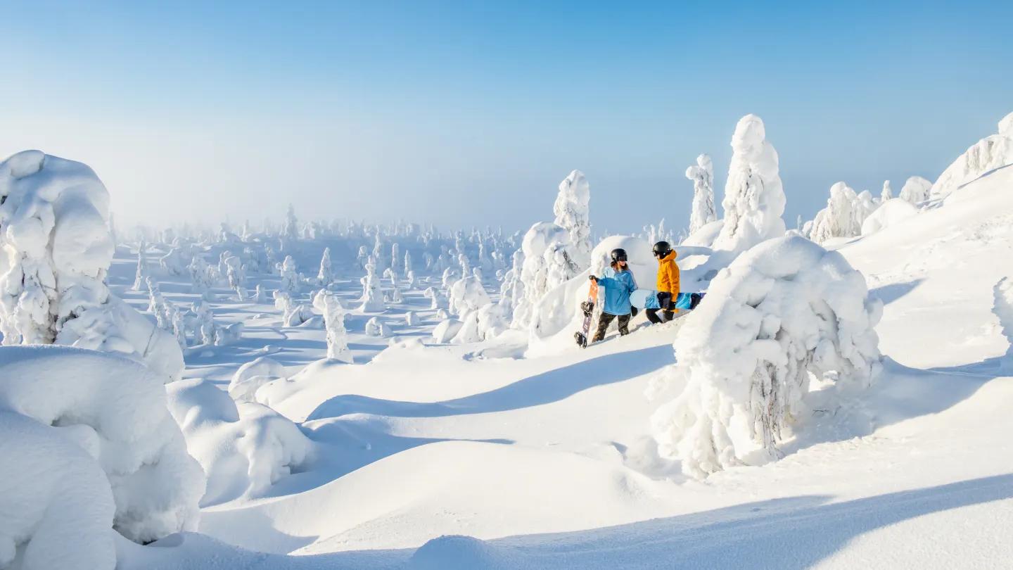 Lumilautailua Iso-Syötteen tykkymaisemissa talvella